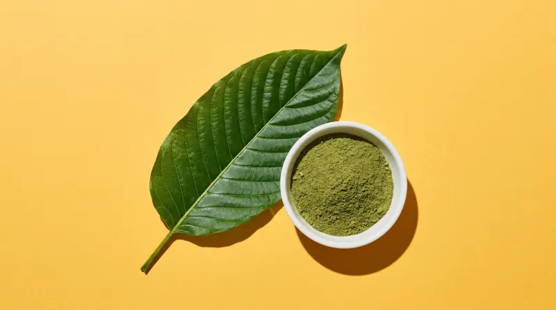 Hoja fresca de kratom junto a un cuenco blanco con polvo verde, sobre fondo amarillo azafrán